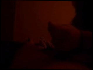 Video 21704501: amateur girl friend pov, girl pov handjob, pov straight, girl friend wanking, old ex girl friend, cum time