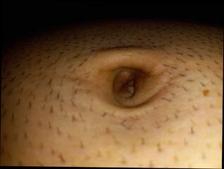 Video 1657224661: fetish fingering, fingering gay porn, homemade fetish porn, sticking finger, bathroom fingering, belly fingering, finger play, american fingering, fingering close, fingering hd