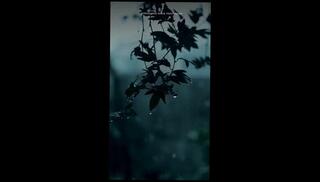 Video 1653832113: bdsm slave submission, submissive sex slave, amateur submissive slave, submissive slave fucked, submissive blonde slave, slave hard bdsm, sex slave spanking, slave spanking ass, submissive big tits fucking, submissive rough sex, sexy submissive blonde, latin sex slave, female sex slave, submission orgasm, submissive bunny, haired submissive, submissive college