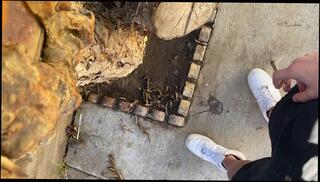 Video 1620880453: feet pov foot, foot fetish feet, foot fetish solo, amateur pov foot, gay foot fetish, smoking foot fetish, male feet foot, big feet foot, male feet pies, latino solo male