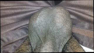 Video 337698703: boy solo nude, solo boy cum, solo cock tease, solo big dick cum, nude amateur solo, boy solo male, asian boy solo, mature solo cum, solo striptease, indian male solo, desi solo, old solo, boy hindi