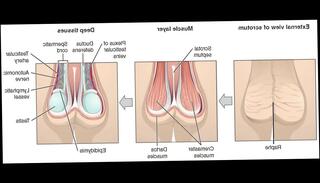 Video 891425265: stimulation masturbation, men masturbating