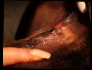 Video 1576210751: lesbian dildo action, lesbians licking dildoing, interracial lesbian action, hairy lesbian licked, dildos toys lesbian, lesbian dildo sex, lesbian dildo party, hot lesbian dildo, blonde lesbian dildo, lesbian big dildo, hairy lesbian brunette, group lesbian sex action, tits lesbian licking, lesbian straight sex, hottest lesbian action, wet lesbian action, lesbian licking tattooed, big natural tits dildo, american dildo
