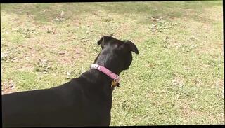 Video 1665472501: busty lesbian babes pussy, busty lesbian eats pussy, lovely busty lesbian babes, busty lesbians toying, busty teen blonde lesbian, busty lesbian couple, busty brunette lesbian babe, busty lesbian sex, busty big tit lesbian, busty lesbian friend, busty lingerie lesbians, lesbians loving cunnilingus, sex toys cute lesbian, lesbian sex together, sweet lesbian pussy, busty english babe, old lesbian couple, teen lesbian hd, lesbian straight, couple years