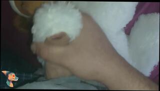 Video 1594287483: fetish gay solo, fetish bareback, solo male cumshots gay, solo handjob cumshot, bareback amateur gay, barebacking dog, cum dog, cum help