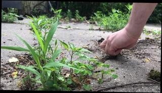 Video 1286756603: dirty stud, amateur solo male, solo male public, hot stud, solo outside
