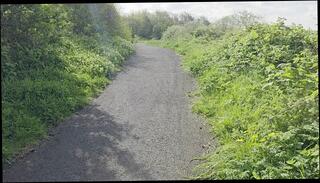 Video 1665654753: solo masturbation naked, solo masturbation big dick, solo masturbation sex, solo amateur masturbation, solo male sex doll, solo public masturbation