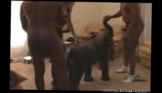 Video 23847265: dick big black cock, perfect black cock, exotic big dick