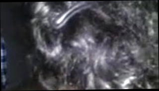 Video 772377301: girl masturbates sucks, old woman sucking, old women sucks, girl sucks older, good girl sucking, straight women, woman shakes, woman hand, best woman