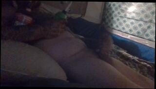 Video 1654747643: amateur solo male masturbation, dick solo masturbation, solo dick stroking, smoking solo masturbation