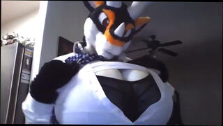 Video 1622247525: tits big boobs sexy, tits boobs breasts, sexy big boobies, big breasted women