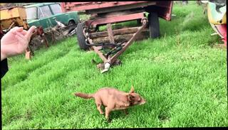 Video 1655909251: uncensored solo, solo bisexual, nudity solo, horny homemade solo girl, solo horny sexy girl, solo sexy teen girl, horny amateur solo girl, hottest homemade solo girl, solo teen naughty girl, solo petite teen slut, girls sex uncensored hd, nipples big tits bisexual, hot solo teen slut, girl nude solo, close solo amateur girl, straight amateur solo, teens public nudity, nudist girls, big natural tits solo, very horny solo, solo european teen, naughty amateur bulgarian, natural naked