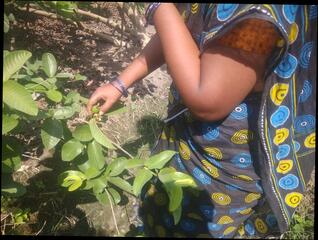 Video 1665602641: aunty hardcore fucking sex, indian aunty hardcore sex, indian wife swapping sex, housewife aunty sex, indian aunty homemade sex, desi aunty homemade sex, pornstar wife swapping, aunty blowjob fucking, indian aunty outdoor sex, beautiful indian aunty sex, indian old aunty fuck, beautiful aunty sex hd, aunty indian 18 year, long hair aunty, fucking wife close, straight wife