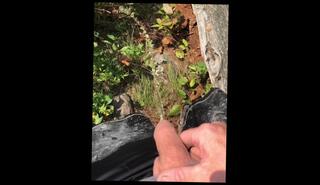 Video 1617325293: pee piss urine, pissing peeing fetish, solo pee fetish, pee desperation pissing, pee pissing outdoor, solo male piss, amateur public piss, amateur solo guy, pissing behind, public nature pissing, romantic solo, 60fps amateur