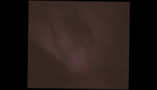 Video 1377902975: bbw gf, bbw blowjob