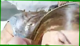 Video 1657806645: tits lesbian milf pussy, milf lesbian orgasm, big ass milf lesbian, sexy milf lesbians, fetish milf big ass, fetish lesbian anal, fetish milf blowjob, lesbian latin milf, beautiful lesbian milf, brunette milf lesbian, milf big clit pussy, homemade milf big cock, lesbian pornstars big tits, glamour lesbians pussy, natural tits latin milf, pink pussy lesbian, milf big tits casting, lesbian fishnets