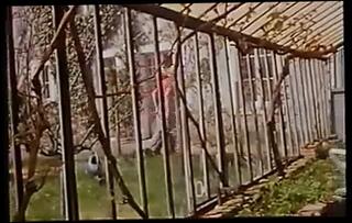 Video 256414701: vintage anal orgy, anal group sex orgy, orgy group hardcore sex, teen group sex orgy, orgy straight, private vintage, hole orgy, teen hardcore anal, anal titty, beautiful porn, french porn