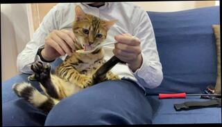 Video 1580419833: japanese uncensored hentai, uncensored japanese bukkake, hentai solo, babe solo pussy masturbation, uncensored amateur japanese masturbation, uncensored japanese amateur blowjob, hentai pussy licking, solo pussy anal, pussy ass solo, solo male anal, romantic hentai, eating bukkake, delicious pussy licked, pussy licking cute