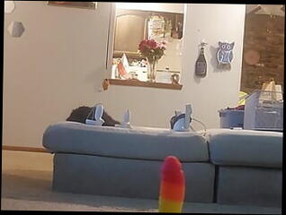 Video 1621548491: solo anal dildo ride, sissy riding dildo, solo dildo webcam, anal dildo fetish, gay solo dildo, solo amateur dildoing, fetish solo porn, dildo domination, mature riding dildo, dildo ride hd, european dildo