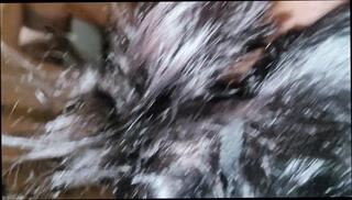 Video 1657937071: stepsister sloppy cock sucking, stepsister's sex toy, stepsister sucks dick, sis sucks dick, haired stepsister suck, hot stepsister sucking, brunette stepsister sucks, stepsister cum, stepsister girl, blowjob step sis, stepsister blows, stepsister couple, taboo step sis, hot black stepsister, tattoo step sis, stepsister cream, stepsister hd, cock sucking blow job, cock sucking sperm, straight suck cum