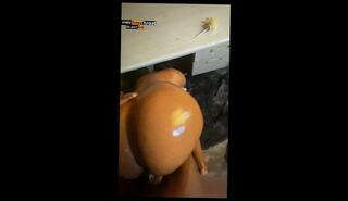 Video 1658422103: bbw bbc creampie, amateur bbc creampie, huge bbc creampie, bbc ebony creampie, black bbw bbc, bbc creampie big, bbc hardcore sex amateur, dick bbc huge cock, ass bbw black cock, biggest bbc cock, stepsis cock, rough hardcore bbc, stepsis surprise, school bbc, bbc fantasy