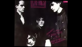 Video 1663998705: tits latin blowjob, mexican blowjob