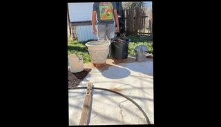 Video 1663038983: pissing peeing fetish, solo pee fetish, pee desperation pissing, pee pissing outdoor, solo male piss, amateur public piss, pissing sexy, pissing close, sexy neighbor