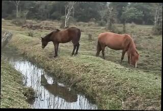 Video 1655184491: twink handjob cumshot, gay twink handjob, twink anal cumshot, banged spermed, gay bear twink, ass banged, good banging, ass fucking dick sucking, fucking guys ass sucking, fucking sucking two dicks, fuck cowboy, fucking hot