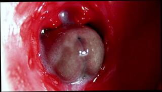 Video 1664623993: solo dick creampie, fetish creampie, creampie amateur cumshot blowjob, creampie blowjob amateur anal, creampie cum inside pussy, creampie ass cum inside, creampie moaning orgasm, big dick anal creampie, creampie pussy toy, creampie sperm, best amateur creampie, massive pussy creampie, solo male moaning, creampie cum load, pussy creampie close, vagina creampie, romantic creampie, camera creampie, delicious sperm, sperm filled, hole sperm