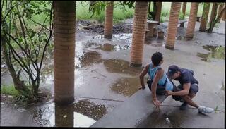 Video 1662916925: twink jock bareback, bareback twink orgy, interracial bareback orgy, gay bareback twink boy, gay interracial twink blowjob, orgy bareback black gay, twink femboy ass, twink bisexual gay, twink big cock bareback, interracial anal orgy, amateur bareback orgy, fetish twinks anal, jock barebacks muscular, femboy 3d, bear orgy bareback, jock strap, femboy ass tease, monster cock bareback gay, femboy anal orgasm, gay twink strip, gay bareback butt, bisexual guy anal, 3d stripper, twink boy beauty, gay uniform twinks, long cock bareback, bisexual male gay, pornstar strap, gay twink public, next door twink, bisexual brazil