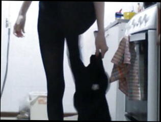Video 1583027241: skinny hairy pussy, skinny hairy teen, skinny pantyhose, hairy cunt whore, boobs hairy cunt, dirty hairy pussy, hairy tight teen pussy, hairy pussy strips, hairy pussy asian teen, naked hairy pussy, teen hairy pussy hot, skinny teen striptease, hairy teen pussy hd, hairy naked straight, hairy pussy webcam, hairy black cunt, korean hairy pussy, skinny stripper, softcore asian teen, pantyhose undress, skirt black pantyhose, lingerie pantyhose, camera whore