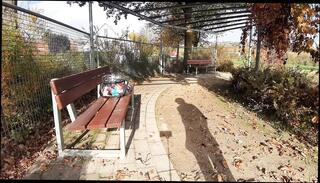 Video 1664266881: sissy crossdresser solo, sissy crossdresser masturbates, public masturbation sissy crossdresser, sissy crossdresser shemale, sissy crossdresser cock, amateur sissy crossdresser, crossdresser sissy lingerie, blonde sissy crossdresser, sissy crossdresser big, small cock shemale solo, small tits solo masturbation, outdoor public masturbation sissy, solo masturbation hd, sissy flashing, german sissy, clothed masturbation