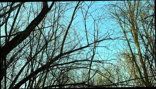 Video 1665449461: pov amateur couple fuck, amateur couple pov sex, ass fucked hard pov, pov fucking big ass, fuck stranger pov, pov public fucked outdoor, beauty pov fucked, nudity fucking, pov naked, pov fuck hd, pov straight, pov 18 year old, pov pick, sweet pov, pov big natural, outside pov, couple fucking very hardly, big ass fucking harder