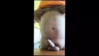 Video 1617322511: hairy daddy wanking, hairy cock wank, hairy daddy cumming, hairy boy cum, gay hairy cum, hairy boy masturbating, amateur hairy cock, hairy bear wanking, hairy european amateur, homemade hairy, handjob hairy, hairy hungarian, hairy close, hd hairy
