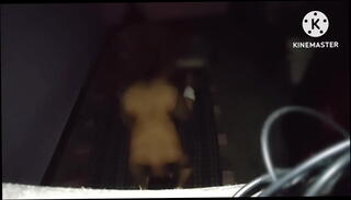 Video 1626003985: bbw doggy style creampie, big booty bbw doggy, bbw wife fucked doggy, doggy fuck creampie amateur, doggy style cowgirl creampie, ass doggy style creampie, creampie homemade doggy style, doggy fucks chubby, chubby fat bbw girl, chubby bbw girl friend, doggy style anal creampie, cuckold husbands creampie, doggy style blowjob creampie, chubby bbw slut, cock cuckold creampie, booty ebony doggy style, bbw chubby desi, cute chubby bbw, huge booty bbw, chubby blonde bbw, doggy style butt fucking, ass step sister fucked, fucking step sister's pussy, doggy style face fucking