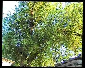 Video 1665588161: anal threesome swinger, vintage blowjob compilation, threesome swingers amateur, straight blowjob compilation, amateur mature german swingers, beautiful blowjob compilation, friend anal threesome, swinger friends germany, behind compilation, fucking behind, door fucking