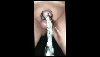 Video 1570582861: tiny cock sissy, tiny dick sissy, sissy solo anal, mature sissy solo, sissy bdsm, sissy horny ass, tiny shemale big cock, small cock shemale solo, tiny tits cock, sexy sissy ass, horny amateur bdsm, sissy hot sexy, shemale public solo, big tits solo hd, smooth sissy, sissy outdoor, shaved sissy