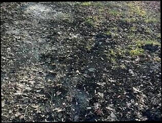 Video 1607681401: voyeur humiliates, bdsm humiliation, gay boys humiliate, humiliation gay porn, amateur voyeur porn, teen bdsm gay, german bdsm teen, humiliated outdoors, boy cock, boy shorts