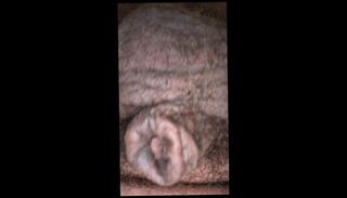 Video 1654403743: hairy chubby ass, chubby hairy daddy, hairy chubby amateur, pov amateur solo male, chubby hairy gay, pov ass fetish, hairy chubby bear, face fetish pov, hairy ass hole gay, hairy latino ass, face sitting pov