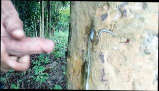 Video 1663471601: solo uncut cock masturbating, solo gay uncut cock, big uncut cock solo, virgin boy creampie, uncut cock masturbation cumshot, solo cock masturbation cum, big uncut cock horny, amateur uncut cock, uncut cock outdoor, desi boy solo, uncut gay men, solo masturbation hd