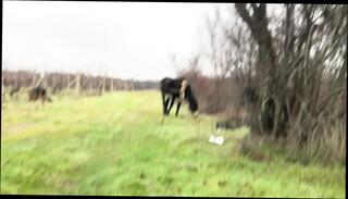 Video 1659134141: uncensored amateur pov, pov solo girl, pov solo teen, tits pov solo, pov bisexual, solo pov hot, horny homemade solo girl, pov amateur homemade porn, amateur homemade pov sex, solo teen naughty girl, girls sex uncensored hd, girl nude solo, pov teen slut, solo naked girl, horny bisexual men, uncensored erotica, natural tits pov, solo european teen, amateur pov close, nipples pov, straight solo men, bulgarian nude