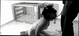 Video 1617692684: cage, wife anal orgasm, amateur couple wife, anal toys wife, french couple anal, toys female orgasm
