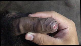 Video 1610357601: twink solo cumshot, solo twink masturbation, twink solo gay, young twink solo, asian twink solo, gay twink small cock, gay twink homemade, young gay twinks first, gay twinks first time, solo close cock, solo masturbation hd, small penis cum, young man cum