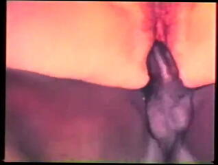 Video 24024101: vintage interracial porn, vintage interracial sex, vintage amateur interracial, vintage danish porn, vintage straight, vintage time, women pussy, young men women, young wet pussy