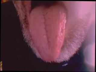 Video 1585872433: voyeur solo, amateur voyeur porn, amateur webcam solo, amateur interracial porn, porn solo male, solo spit, voyeur party