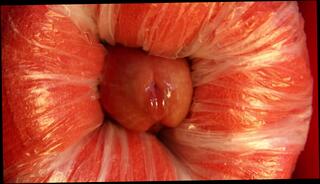 Video 1625101853: solo male masturbation pov, pov ass fetish, fetish pov blowjob, solo pov hot, solo anal pussy masturbation, pov blowjob anal cock, solo male masturbation moaning, hard dick masturbating solo, amateur solo male masturbation, amateur big ass pov, amateur pov close, solo masturbation inside, amateur college pov, vagina pov, pov camera, fucking