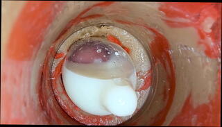 Video 1655039975: solo squirt pov, creampie pussy squirt orgasm, pov pussy fucking creampie, solo masturbation squirting orgasm, pov amateur fuck creampie, squirt orgasm huge creampie, pov sex huge creampie, solo wet pussy squirting, creampie cum squirting, oil solo boys, homemade pov creampie, oiled pov dick, oiled pov cock, pov fetish fuck, creampie multiple squirt, solo creamy squirt, pov creampie big, cock pov cum swallow, solo masturbation pussy toying, vaginal creampie cum rubbed, swallows pov cum load, squirting orgasm creaming cum, orgasm tight pussy creampie, pussy squirt orgasm close, cum solo monster dick, pov pink pussy fuck, pussy creampie sexy, cock pov lady, pretty pink pussy squirting, wet fat pussy squirting, sensual fuck creampie, condom ejaculate, small pussy creampie, long squirting orgasm, squirting swollen, inside condom, condom deep