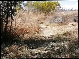 Video 1592771471: milf pissing pee, amateur milf pisses, milf pussy closeup, pee pissing outdoor, milf pierced nipple, tit pierced milf, milf big clit pussy, natural tits amateur milf, milf big ass tits, pierced tattooed milf, thick thighs milf, pussy pissing close, big pussy lips milf, women pissing, milf big tits fat, mexican milf tits, piss straight, closeup pussy hd, pissing panties, exhibitionist milf, milf latinas, pierced clitoris