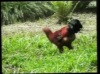 Video 1664901491: vintage shemale, vintage ladyboy, vintage anal, vintage blowjob, portuguese vintage, vintage cute, vintage latin, vintage outdoor, shemale faps, hot shemale babe, shemale park