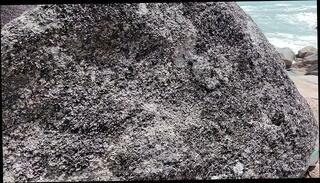 Video 1663847915: tits creampie big cock, creampie big tits amateur, cock creampied big natural, exotic amateur creampie, amateur latin creampie, brazil big cock